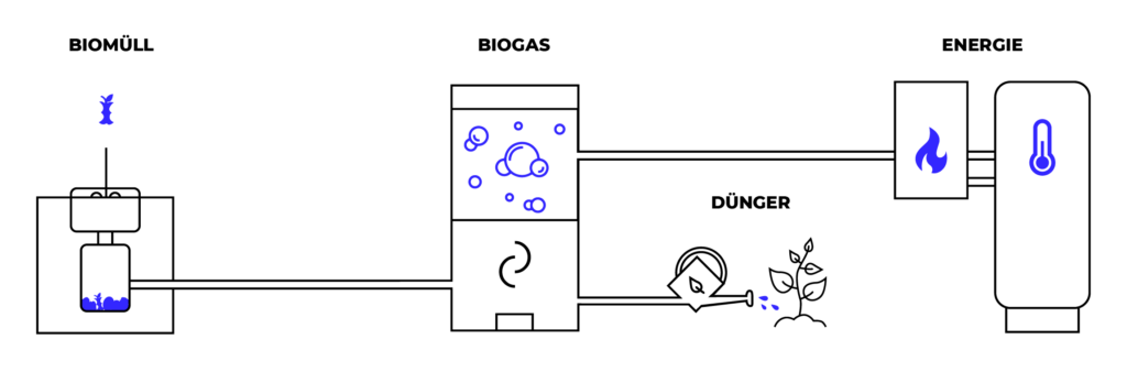 Schematische Darstellung des Biogasprozesses in der RENUZEROS-Anlage