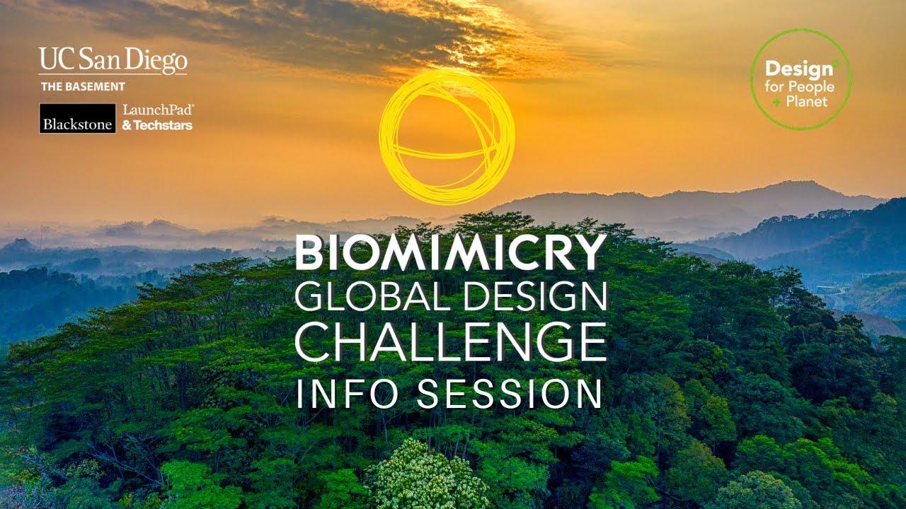 Illustration: Biomimicry Global Design Challenge – Halbfinale erreicht