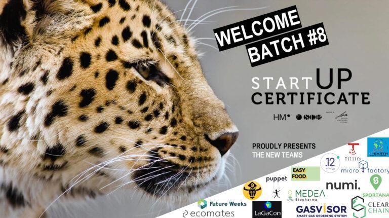 Illustration: SCE – Start-Up Zertifikat Accelerator Programm